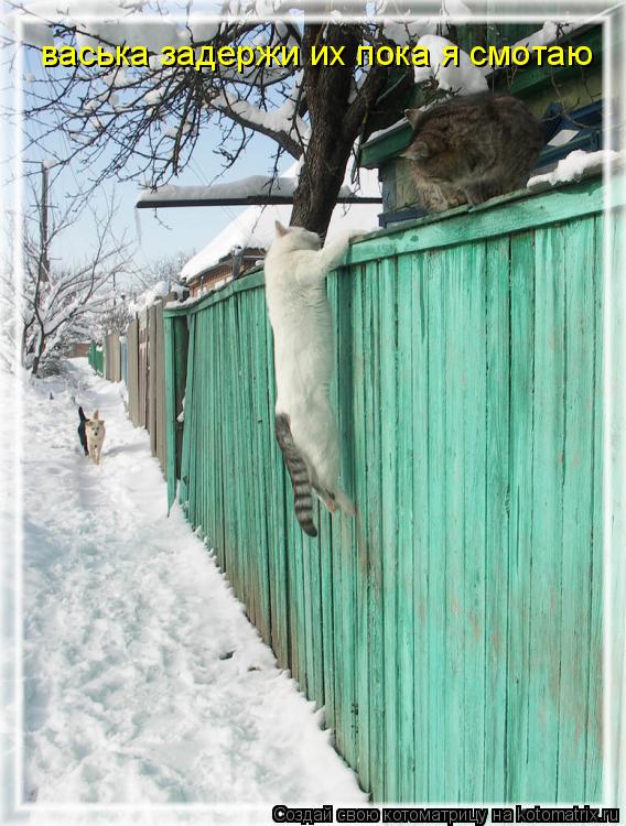 Котоматрица: васька задержи их пока я смотаю