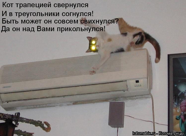 Котоматрица: Кот трапецией свернулся     И в треугольники согнулся!    Быть может он совсем свихнулся?    Да он над Вами прикольнулся!