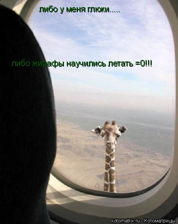 Котоматрица: либо у меня глюки..... либо жирафы научились летать =0!!!