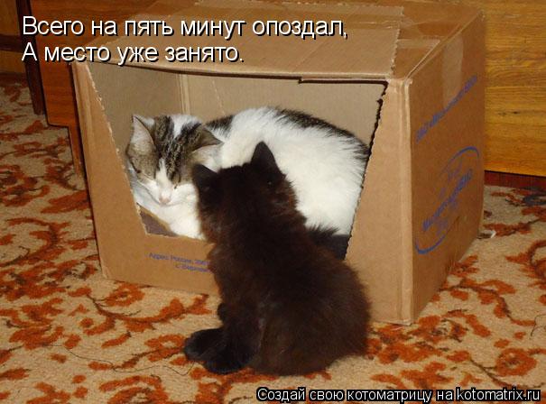 Котоматрица: Всего на пять минут опоздал, А место уже занято.