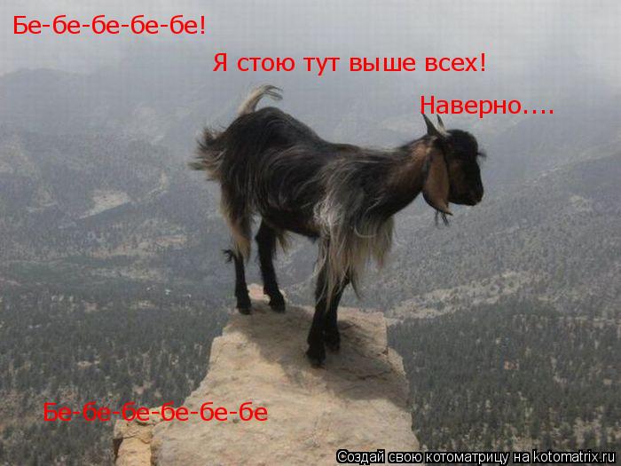 Котоматрица: Бе-бе-бе-бе-бе! Наверно.... Бе-бе-бе-бе-бе-бе Я стою тут выше всех!
