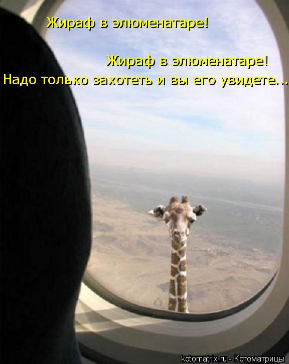 Котоматрица: Жираф в элюменатаре! Жираф в элюменатаре! Надо только захотеть и вы его увидете...