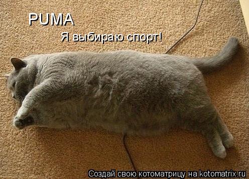 Котоматрица: PUMA Я выбираю спорт!