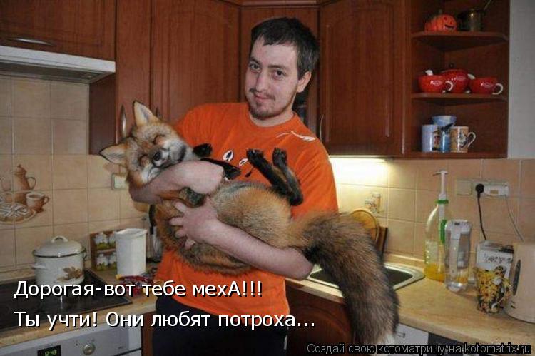 Дорогая-вот тебе мехА!!! Ты учти! Они любят потроха...... Котоматрица: Дорогая-вот тебе мехА!!! Ты учти! Они любят потроха...
