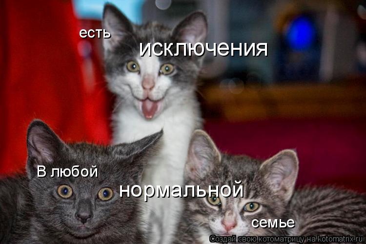 Котоматрица: В любой нормальной семье есть исключения
