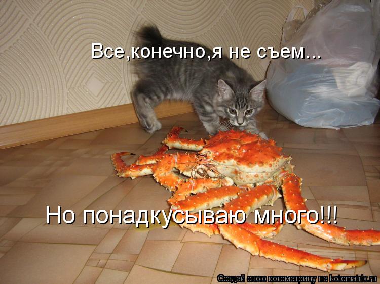 Котоматрица: Все,конечно,я не съем... Но понадкусываю много!!!