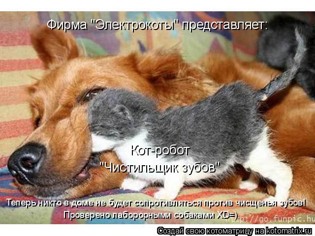 Котоматрица: Фирма "Электрокоты" представляет: Кот-робот "Чистильщик зубов" Теперь никто в доме не будет сопротивляться против чисщенья зубов! Проверено