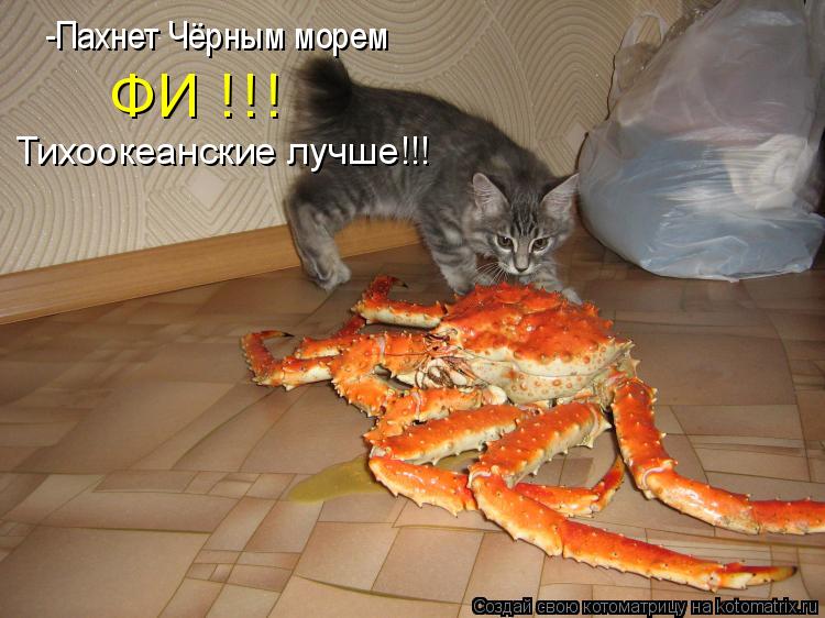 Котоматрица: -Пахнет Чёрным морем ФИ !!! Тихоокеанские лучше!!!