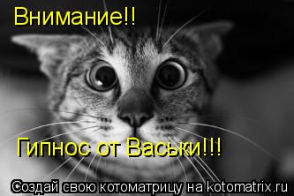 Котоматрица: Внимание!! Гипнос от Васьки!!!