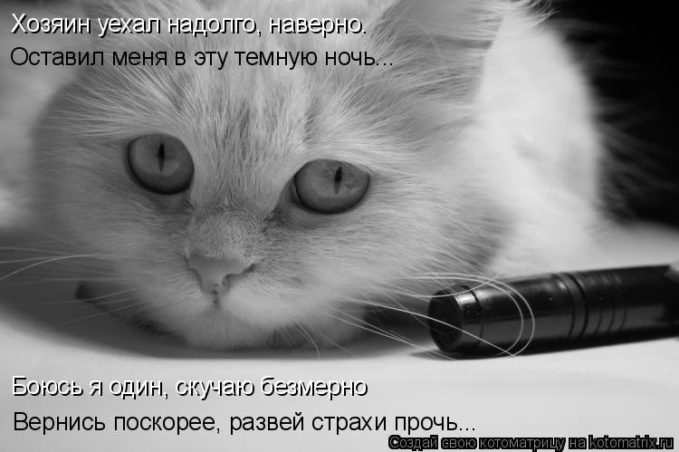 Хозяин уехал надолго, наверно. Оставил меня в эту темную ночь... Боюсь я один, скучаю безмерно Вернис... Котоматрица: Хозяин уехал надолго, наверно. Оставил меня в эту темную ночь... Боюсь я один, скучаю безмерно Вернись поскорее, развей страхи прочь...