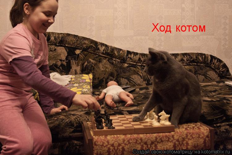 Ход котом... Котоматрица: Ход котом