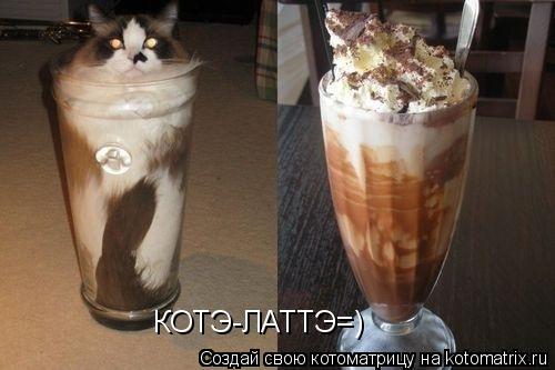 КОТЭ-ЛАТТЭ=)... Котоматрица: КОТЭ-ЛАТТЭ=)