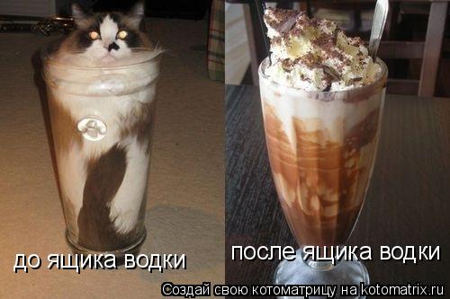 до ящика водки после ящика водки... Котоматрица: до ящика водки после ящика водки