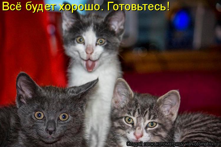 Всё будет хорошо. Готовьтесь!... Котоматрица: Всё будет хорошо. Готовьтесь!