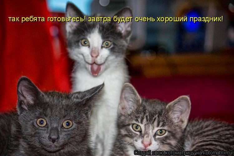 так ребята готовьтесь! завтра будет очень хороший праздник!... Котоматрица: так ребята готовьтесь! завтра будет очень хороший праздник!