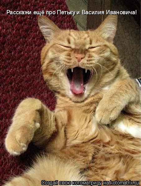 Котоматрица: Расскажи ещё про Петьку и Василия Ивановича!