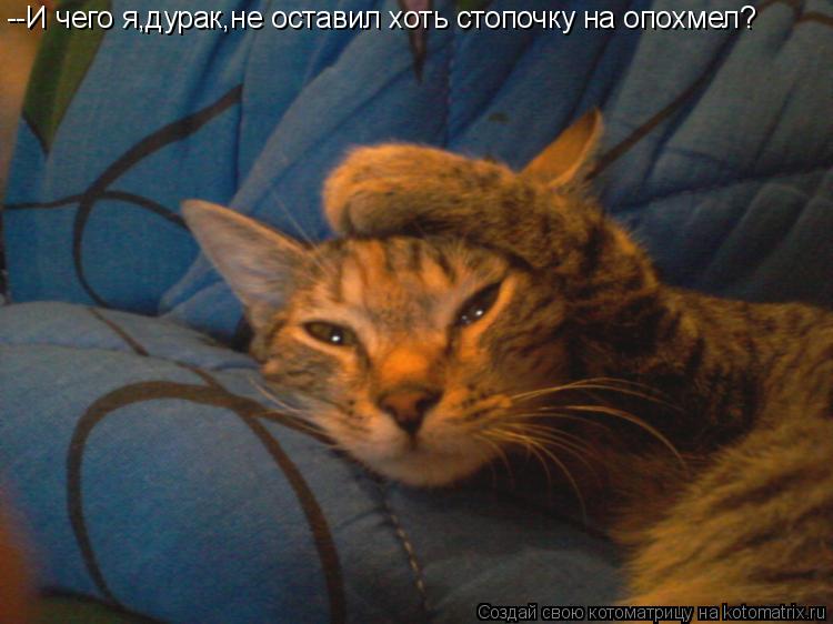 Котоматрица: --И чего я,дурак,не оставил хоть стопочку на опохмел?