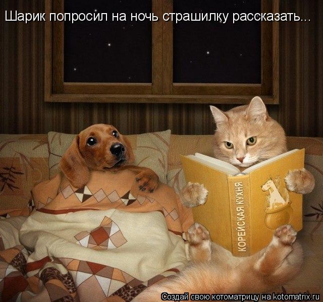 Котоматрица: Шарик попросил на ночь страшилку рассказать...