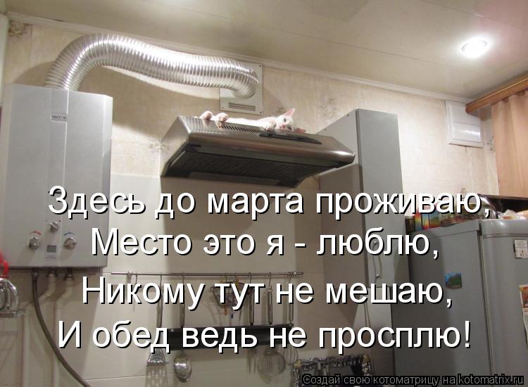 Здесь до марта проживаю, Место это я - люблю, Никому тут не мешаю, И обед ведь не просплю!... Котоматрица: Здесь до марта проживаю, Место это я - люблю, Никому тут не мешаю, И обед ведь не просплю!