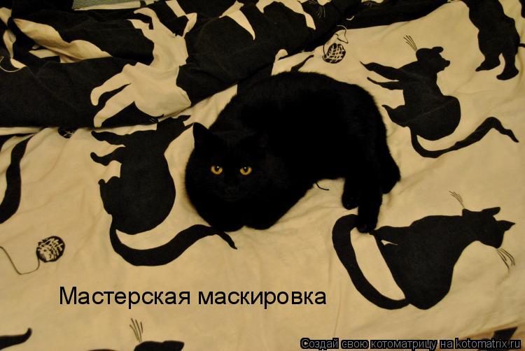 Мастерская маскировка... Котоматрица: Мастерская маскировка