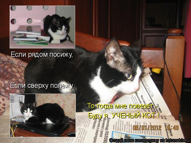 Если сверху полежу. Если рядом посижу, То тогда мне повезёт - Буду я УЧЕНЫЙ КОТ !... Котоматрица: Если сверху полежу. Если рядом посижу, То тогда мне повезёт - Буду я УЧЕНЫЙ КОТ !