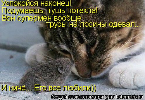 Успокойся наконец! Подумаешь, тушь потекла! Вон супермен вообще трусы на лосины одевал... И ничё... Е... Котоматрица: Успокойся наконец! Подумаешь, тушь потекла! Вон супермен вообще трусы на лосины одевал... И ничё... Его все любили))