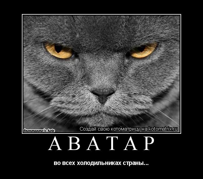 АВАТАР во всех холодильниках страны...... Котоматрица: АВАТАР во всех холодильниках страны...