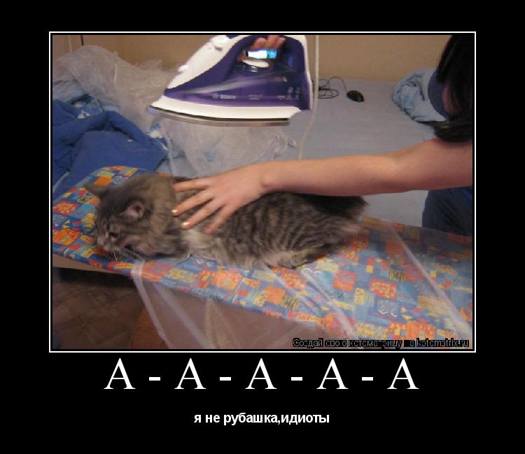 Котоматрица: а-а-а-а-а я не рубашка,идиоты