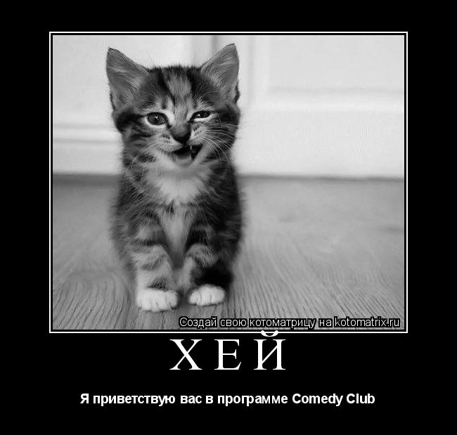 Котоматрица: Хей Я приветствую вас в программе Comedy Club