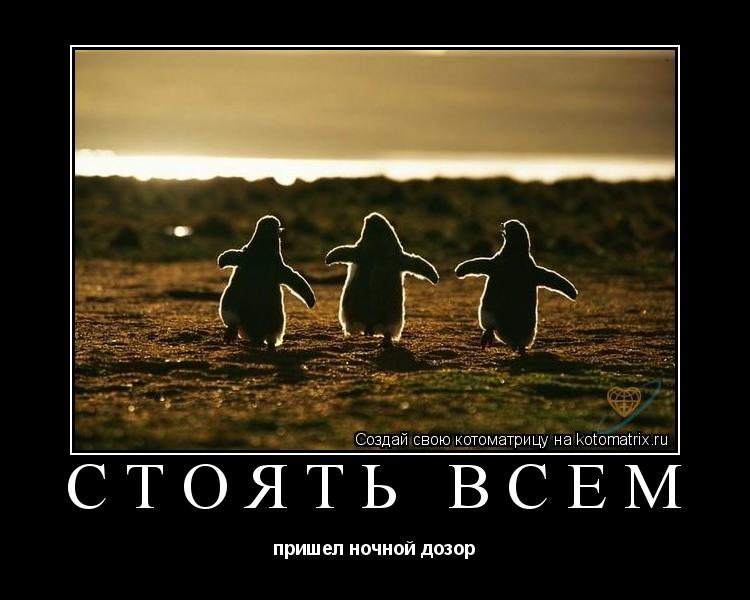 Котоматрица: стоять всем пришел ночной дозор