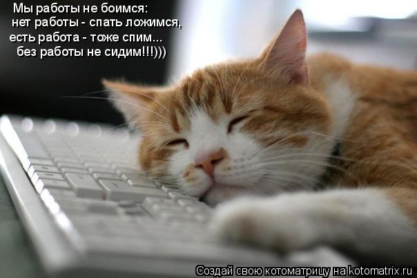 Мы работы не боимся: нет работы - спать ложимся, нет работы - спать ложимся, есть работа - тоже спим.... Котоматрица: Мы работы не боимся: нет работы - спать ложимся, нет работы - спать ложимся, есть работа - тоже спим... без работы не сидим!!!)))