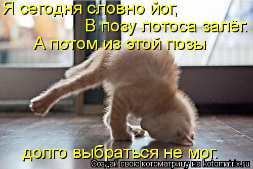 Я сегодня словно йог, В позу лотоса залёг. А потом из этой позы долго выбраться не мог.... Котоматрица: Я сегодня словно йог, В позу лотоса залёг. А потом из этой позы долго выбраться не мог.