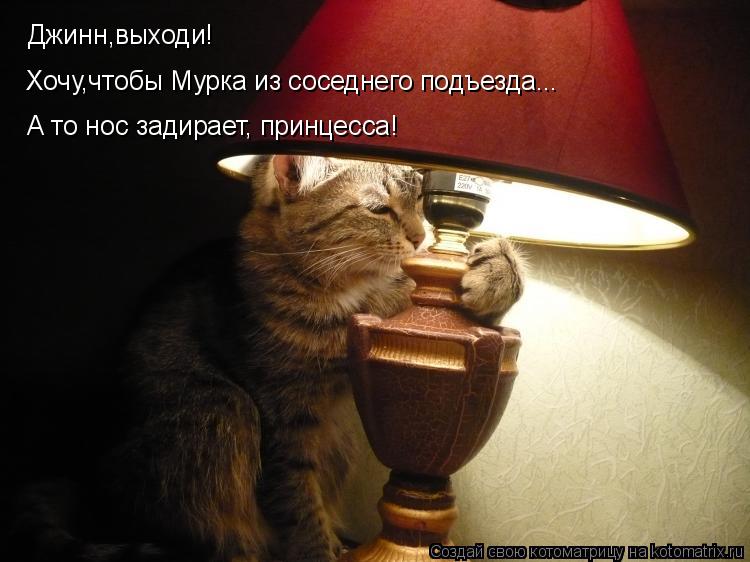 Джинн,выходи! Хочу,чтобы Мурка из соседнего подъезда... А то нос задирает, принцесса!... Котоматрица: Джинн,выходи! Хочу,чтобы Мурка из соседнего подъезда... А то нос задирает, принцесса!