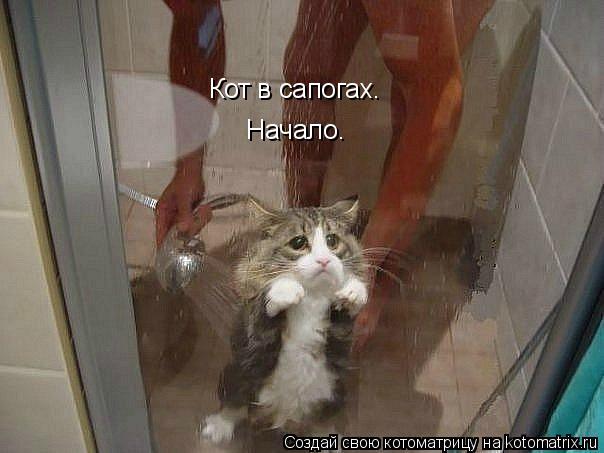Кот в сапогах. Начало.... Котоматрица: Кот в сапогах. Начало.
