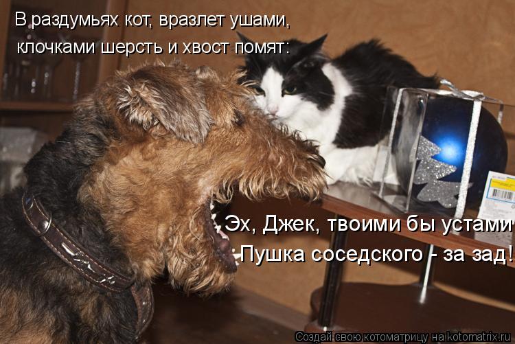 В раздумьях кот, вразлет ушами, клочками шерсть и хвост помят: Эх, Джек, твоими бы устами Пушка сосед... Котоматрица: В раздумьях кот, вразлет ушами, клочками шерсть и хвост помят: Эх, Джек, твоими бы устами Пушка соседского - за зад!