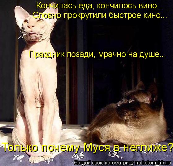 Праздник позади, мрачно на душе... Только почему Муся в неглиже? Словно прокрутили быстрое кино... К... Котоматрица: Праздник позади, мрачно на душе... Только почему Муся в неглиже? Словно прокрутили быстрое кино... Кончилась еда, кончилось вино...