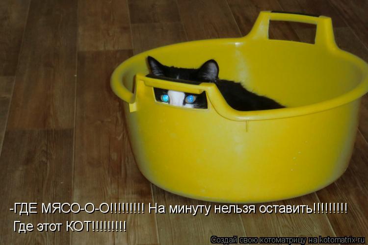-ГДЕ МЯСО-О-О!!!!!!!!! На минуту нельзя оставить!!!!!!!!! Где этот КОТ!!!!!!!!!... Котоматрица: -ГДЕ МЯСО-О-О!!!!!!!!! На минуту нельзя оставить!!!!!!!!! Где этот КОТ!!!!!!!!!