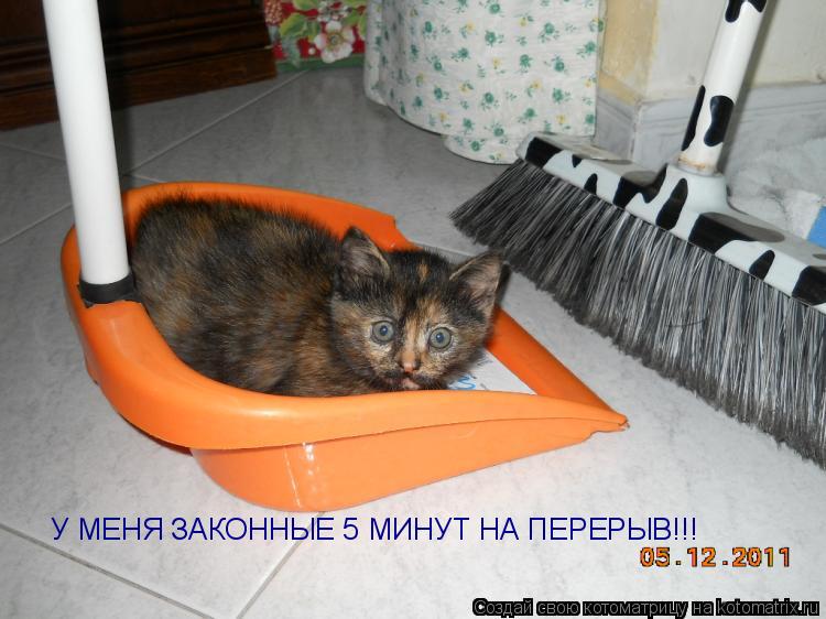 У МЕНЯ ЗАКОННЫЕ 5 МИНУТ НА ПЕРЕРЫВ!!!... Котоматрица: У МЕНЯ ЗАКОННЫЕ 5 МИНУТ НА ПЕРЕРЫВ!!!