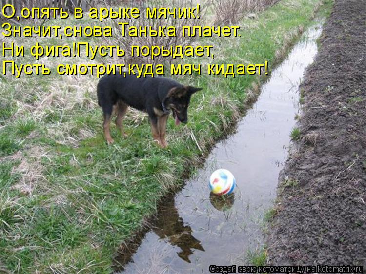 О,опять в арыке мячик! Значит,снова Танька плачет. Ни фига!Пусть порыдает, Пусть смотрит,куда мяч кид... Котоматрица: О,опять в арыке мячик! Значит,снова Танька плачет. Ни фига!Пусть порыдает, Пусть смотрит,куда мяч кидает!