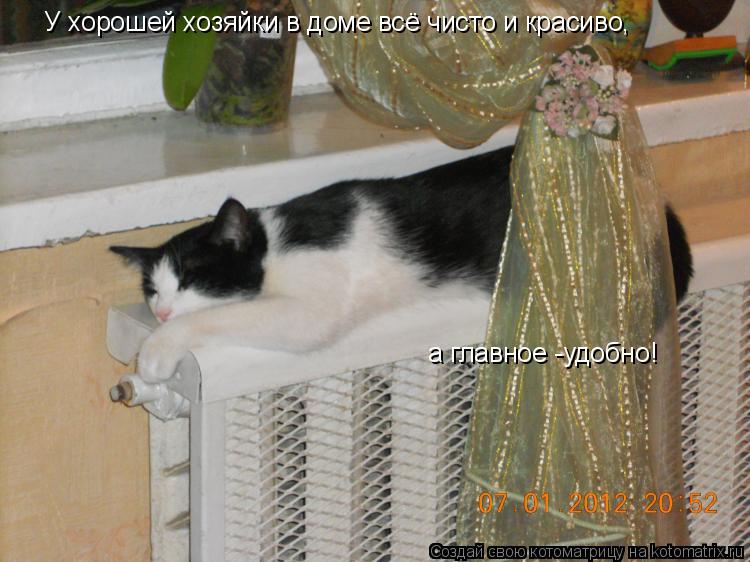 а главное -удобно! У хорошей хозяйки в доме всё чисто и красиво,... Котоматрица: а главное -удобно! У хорошей хозяйки в доме всё чисто и красиво,