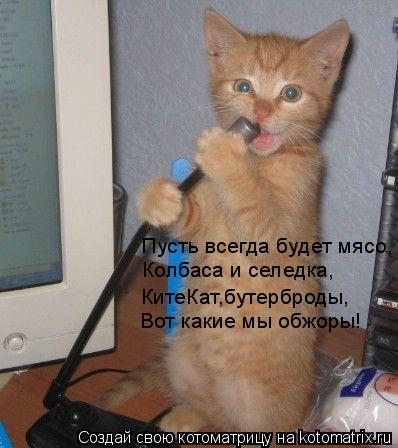 Пусть всегда будет мясо, Колбаса и селедка, КитеКат,бутерброды, Вот какие мы обжоры!... Котоматрица: Пусть всегда будет мясо, Колбаса и селедка, КитеКат,бутерброды, Вот какие мы обжоры!