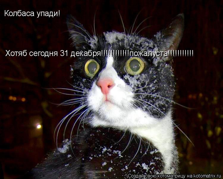 Колбаса упади! Хотяб сегодня 31 декабря!!!!!!!!!!!!пожалуста!!!!!!!!!!!... Котоматрица: Колбаса упади! Хотяб сегодня 31 декабря!!!!!!!!!!!!пожалуста!!!!!!!!!!!