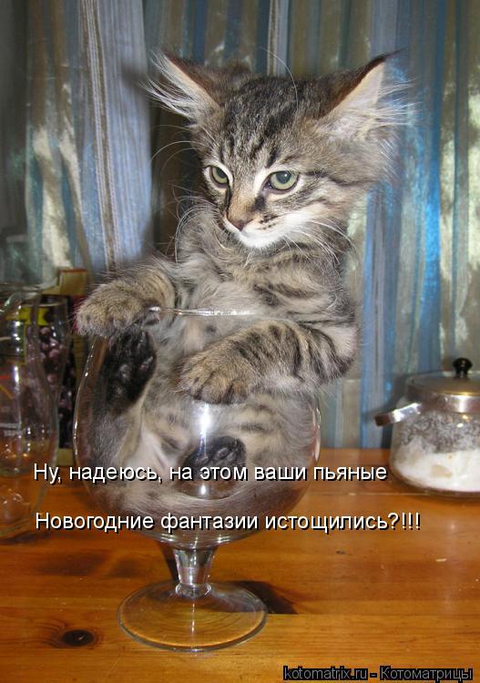 Ну, надеюсь, на этом ваши пьяные Новогодние фантазии истощились?!!!... Котоматрица: Ну, надеюсь, на этом ваши пьяные Новогодние фантазии истощились?!!!