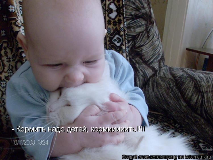 Котоматрица: - Кормить надо детей, кормииииить!!!!