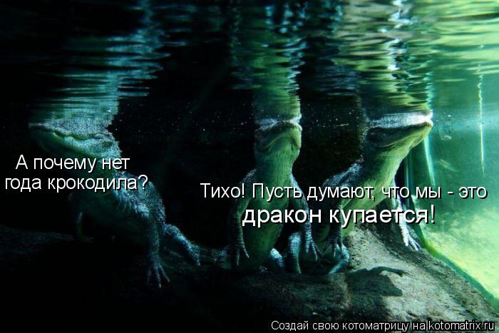А почему нет дракон купается! года крокодила? Тихо! Пусть думают, что мы - это... Котоматрица: А почему нет дракон купается! года крокодила? Тихо! Пусть думают, что мы - это
