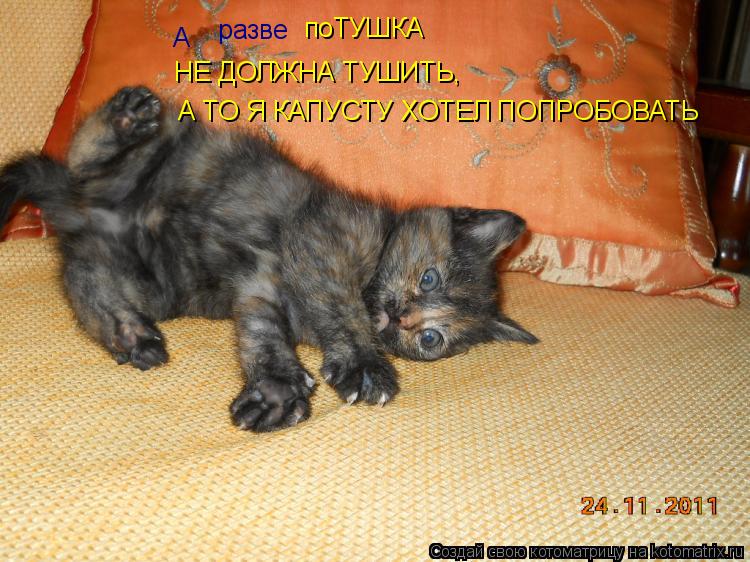 А разве поТУШКА НЕ ДОЛЖНА ТУШИТЬ, А ТО Я КАПУСТУ ХОТЕЛ ПОПРОБОВАТЬ... Котоматрица: А разве поТУШКА НЕ ДОЛЖНА ТУШИТЬ, А ТО Я КАПУСТУ ХОТЕЛ ПОПРОБОВАТЬ