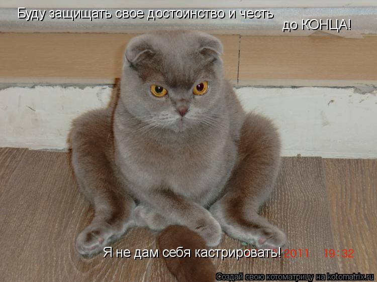 Буду защищать свое достоинство и честь до КОНЦА! Я не дам себя кастрировать!... Котоматрица: Буду защищать свое достоинство и честь до КОНЦА! Я не дам себя кастрировать!