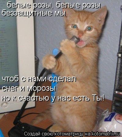 белые розы, белые розы беззащитные мы чтоб с нами сделал снег и морозы но к счастью у нас есть Ты!... Котоматрица: белые розы, белые розы беззащитные мы чтоб с нами сделал снег и морозы но к счастью у нас есть Ты!