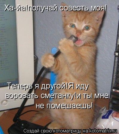 Ха-йа!получай совесть моя! Теперь я другой!Я иду воровать сметанку!и ты мне не помешаешь!... Котоматрица: Ха-йа!получай совесть моя! Теперь я другой!Я иду воровать сметанку!и ты мне не помешаешь!