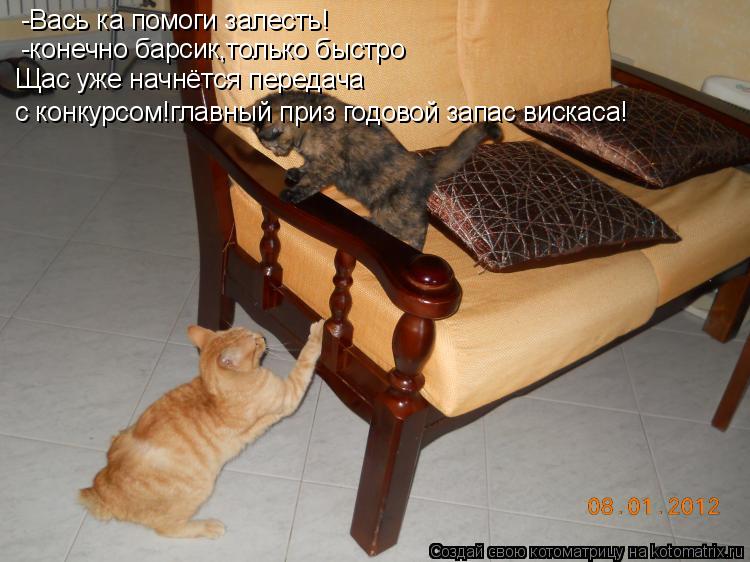 -Вась ка помоги залесть! -конечно барсик,только быстро Щас уже начнётся передача с конкурсом!главный ... Котоматрица: -Вась ка помоги залесть! -конечно барсик,только быстро Щас уже начнётся передача с конкурсом!главный приз годовой запас вискаса!